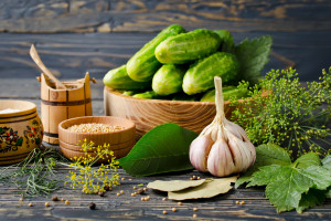 绝地求生全明星赛,娱乐与竞技并存,看明星选手如何玩转战场