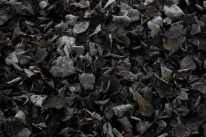 从零到一:F1电竞数据分析师的养成之路 从零到一:F1电竞数据分析师的养成之路